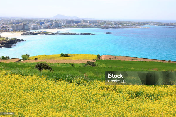 Bãi biển Hamdeok Jeju - Du lịch Hàn Quốc