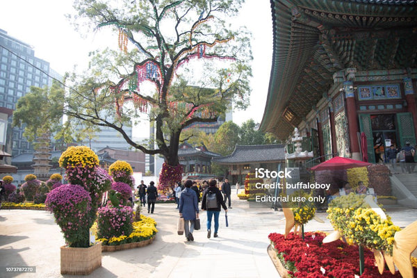 Chùa Jogyesa Seoul - Du lịch Hàn Quốc