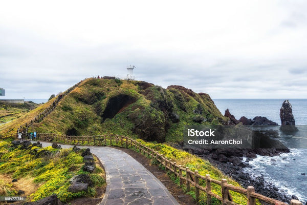 Đồi Seopjikoji Jeju - Du lịch Hàn Quốc