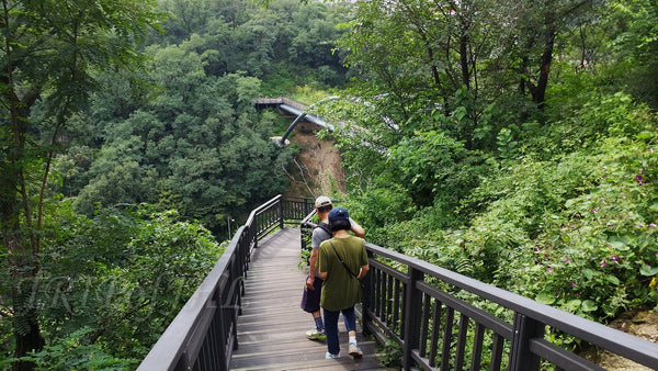 Đường mòn Jarakgil - Du lịch Hàn Quốc