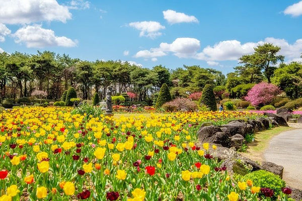 Vườn hoa Byukchoji Gardens - Du lịch Hàn Quốc
